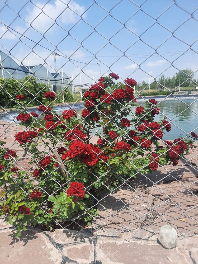 ما را پیدا کنید