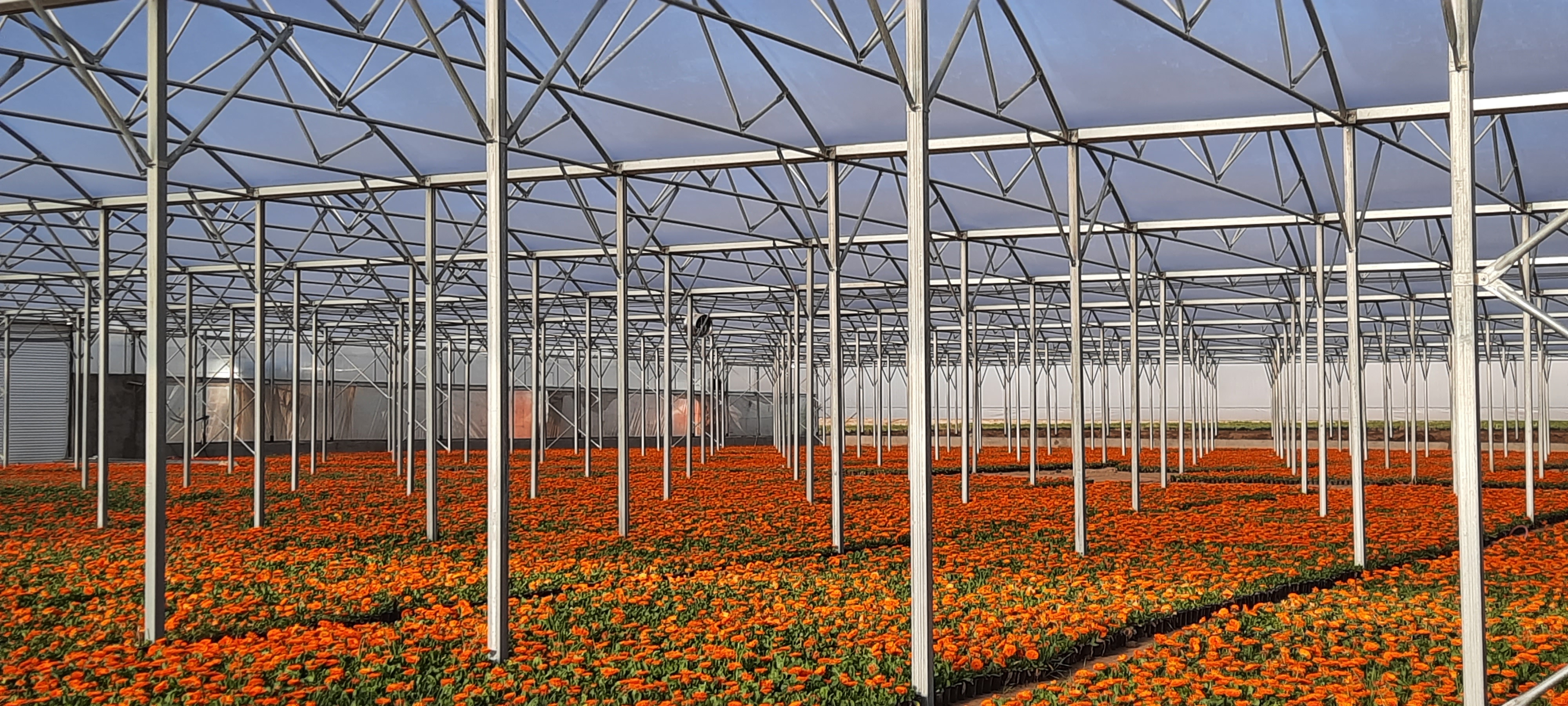 درباره مجموعه استانسی